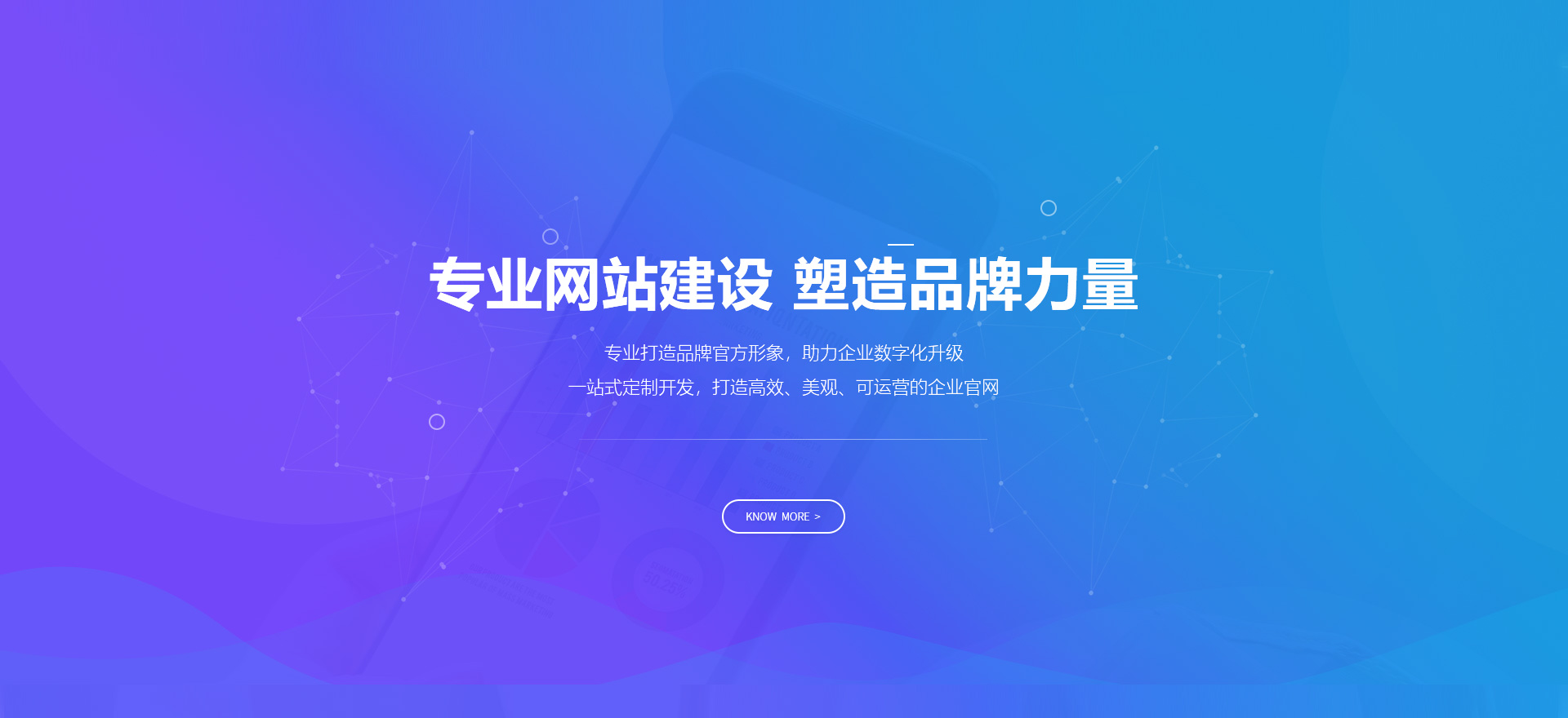 泰州建站-专业网站建设 塑造品牌力量