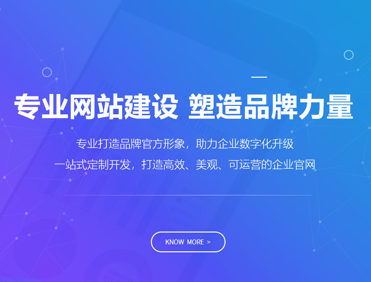 泰州建站-专业网站建设 塑造品牌力量